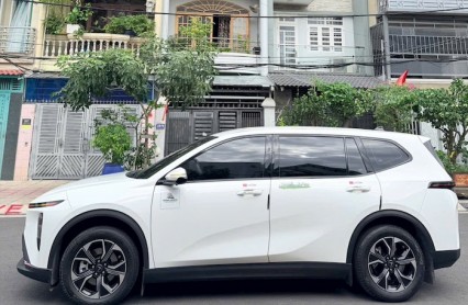 Lazang Limo Green: Mẫu Mâm Đẹp Và Kinh Nghiệm Chọn